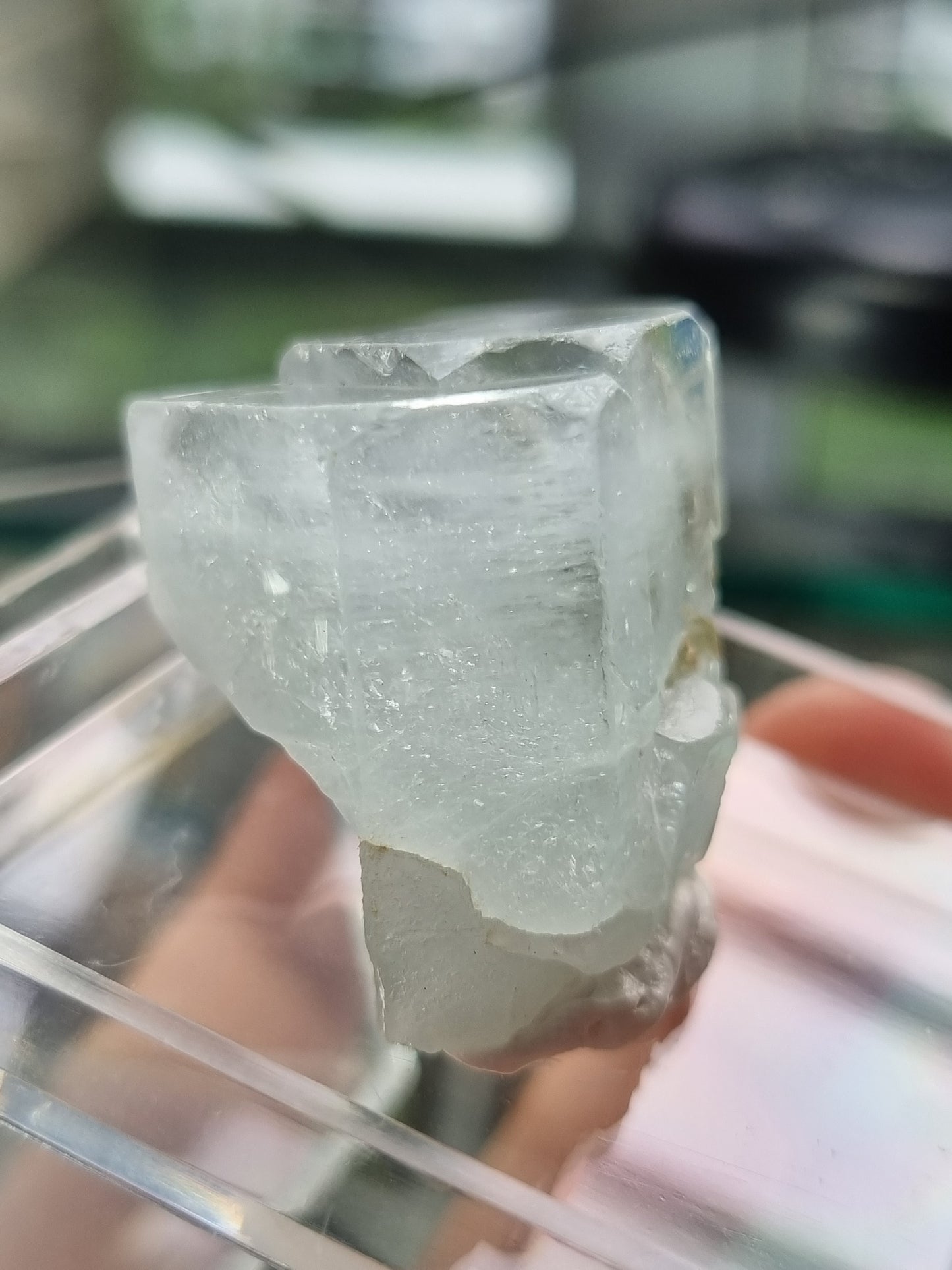Terminated Aquamarine Crystals with Muscovite