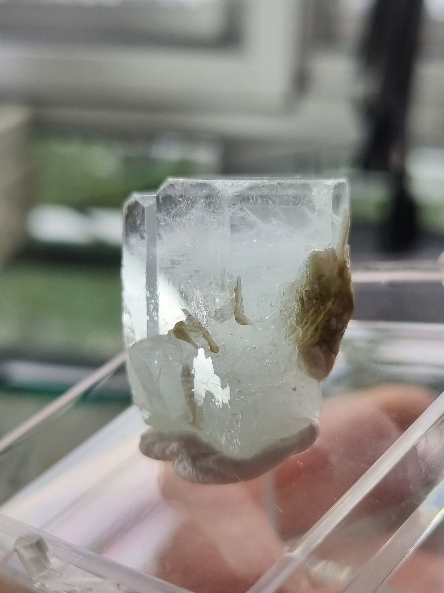 Terminated Aquamarine Crystals with Muscovite