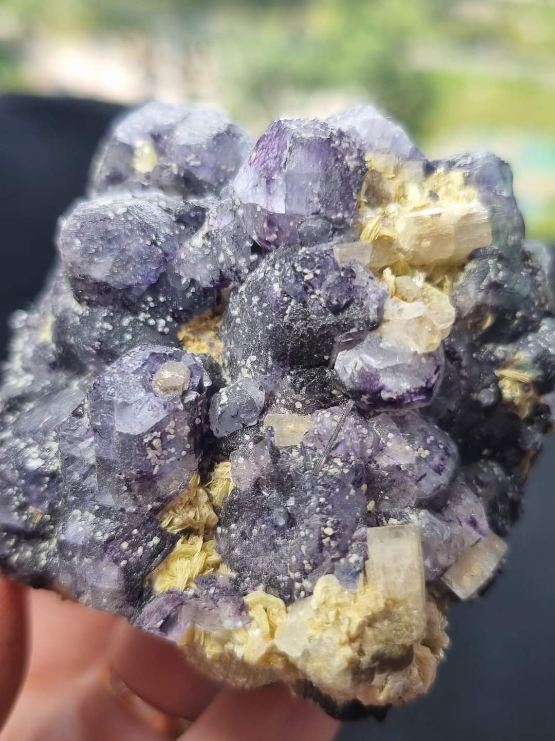 Mineral Specimen Combo of Fluorite, Muscovite, Goshenite, Schorl