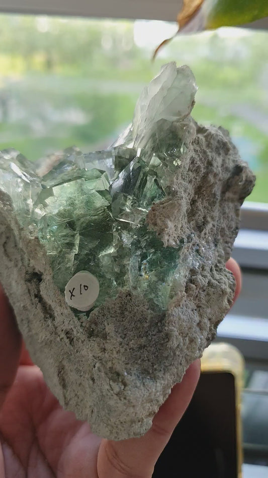 Glassy gemmy fluorite on vug matrix (#10)