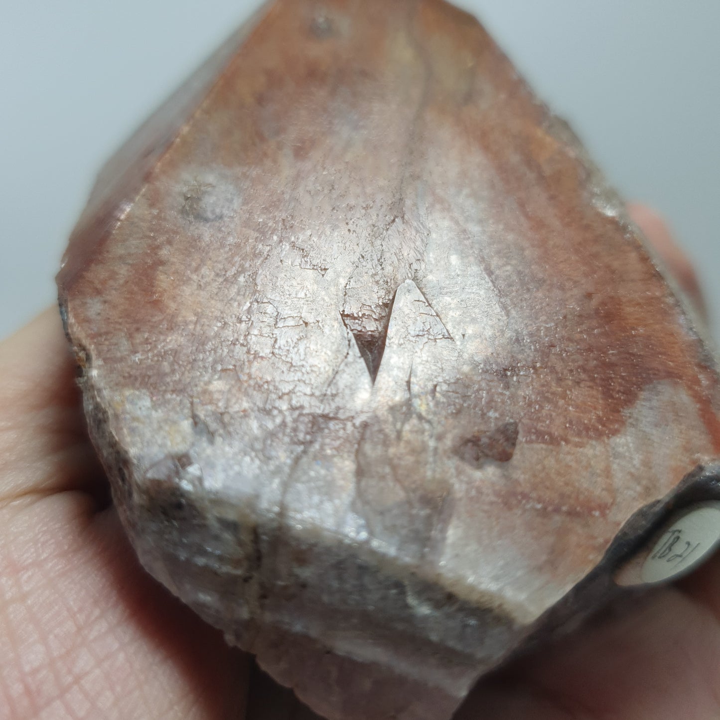 Trigonic Record Keeper on Red Cap Amethyst crystal - Auralite 23 (#21)