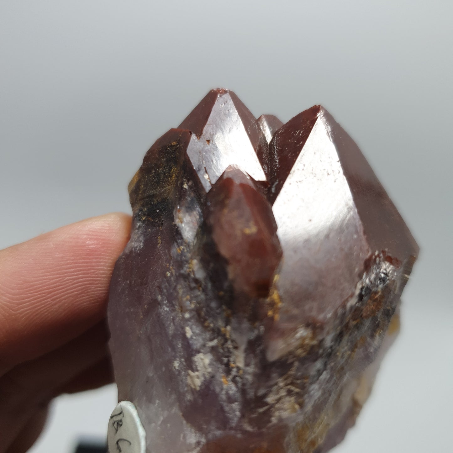 Multi Terminated red cap Amethyst Auralite 23 w Record Keeper (#6)