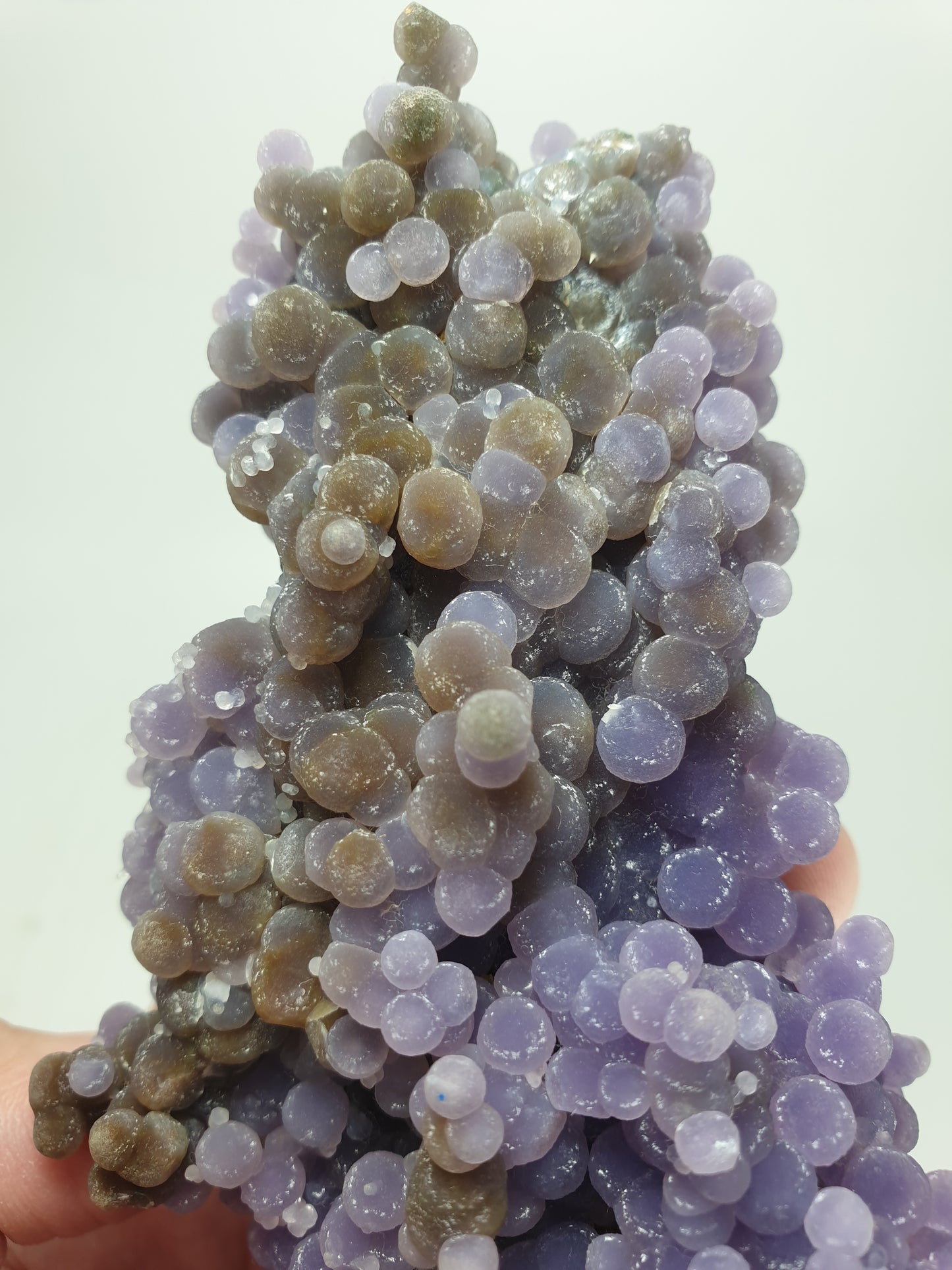 Botryoidal Amethystine aka Grape Agate
