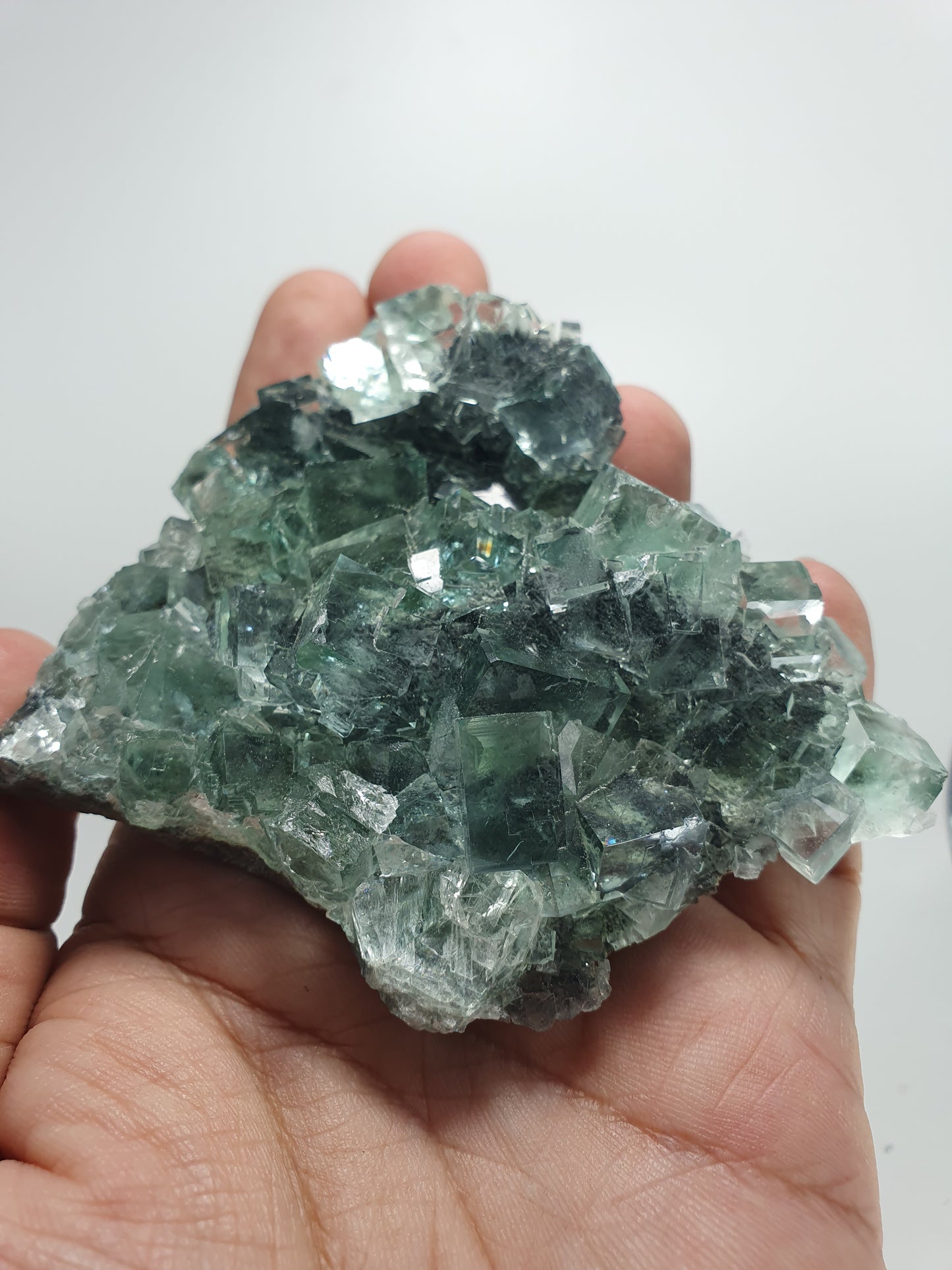 Glassy & Gemmy Green Fluorite (#1)