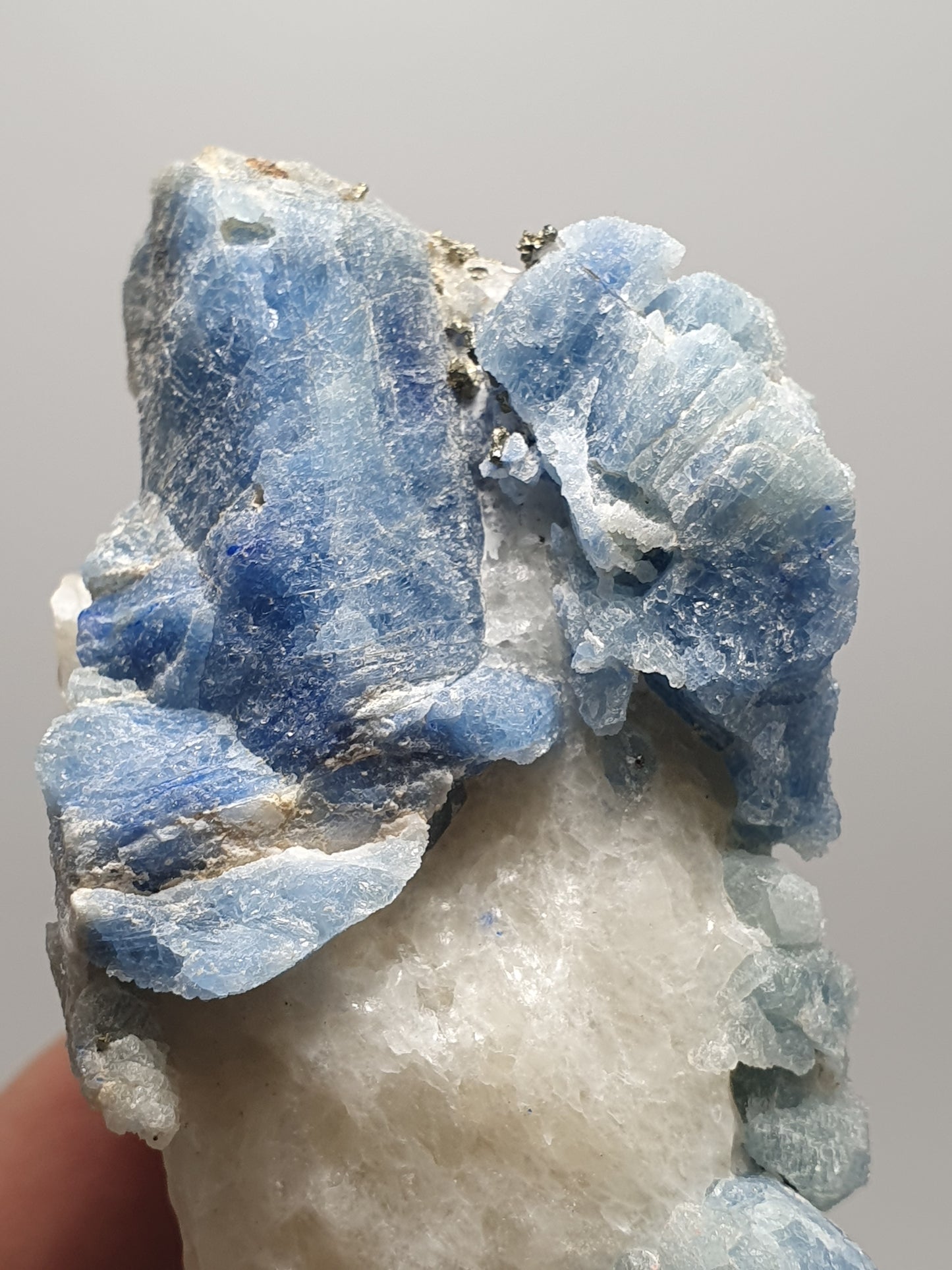 Afghanite with Lapis Lazuli Mineral Specimen Singapore