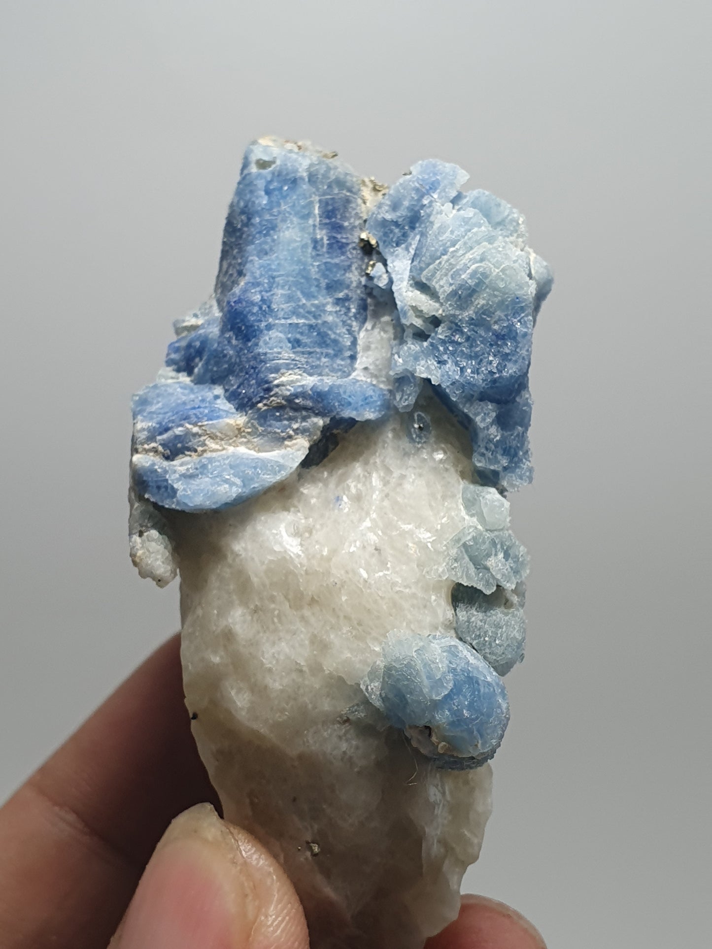 Afghanite and Lapis Lazuli Mineral Specimen Singapore