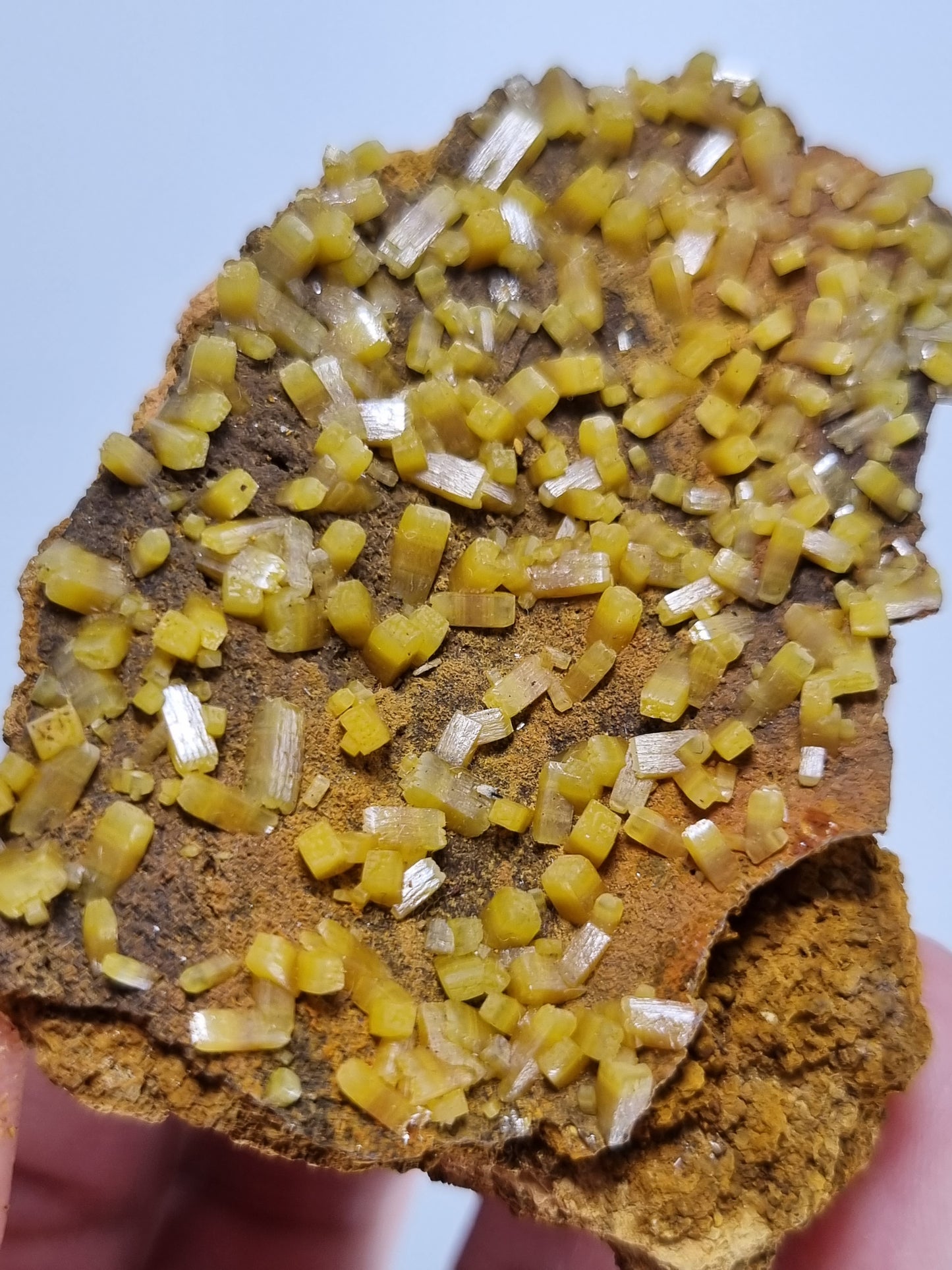 Beautiful Mimetite Crystal Specimen from Mexico