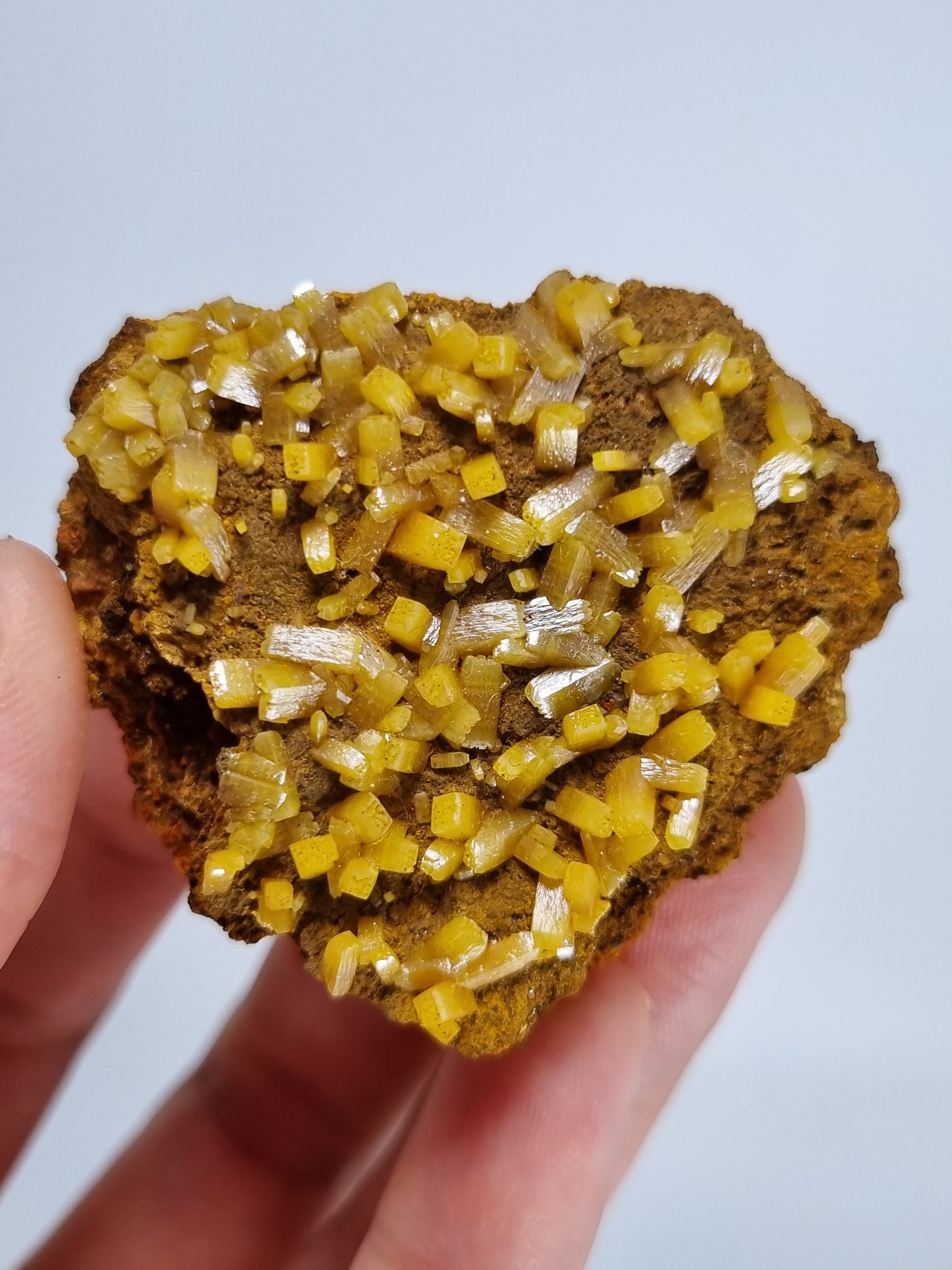 Beautiful Mimetite Crystals on Matrix from Durango Mexico