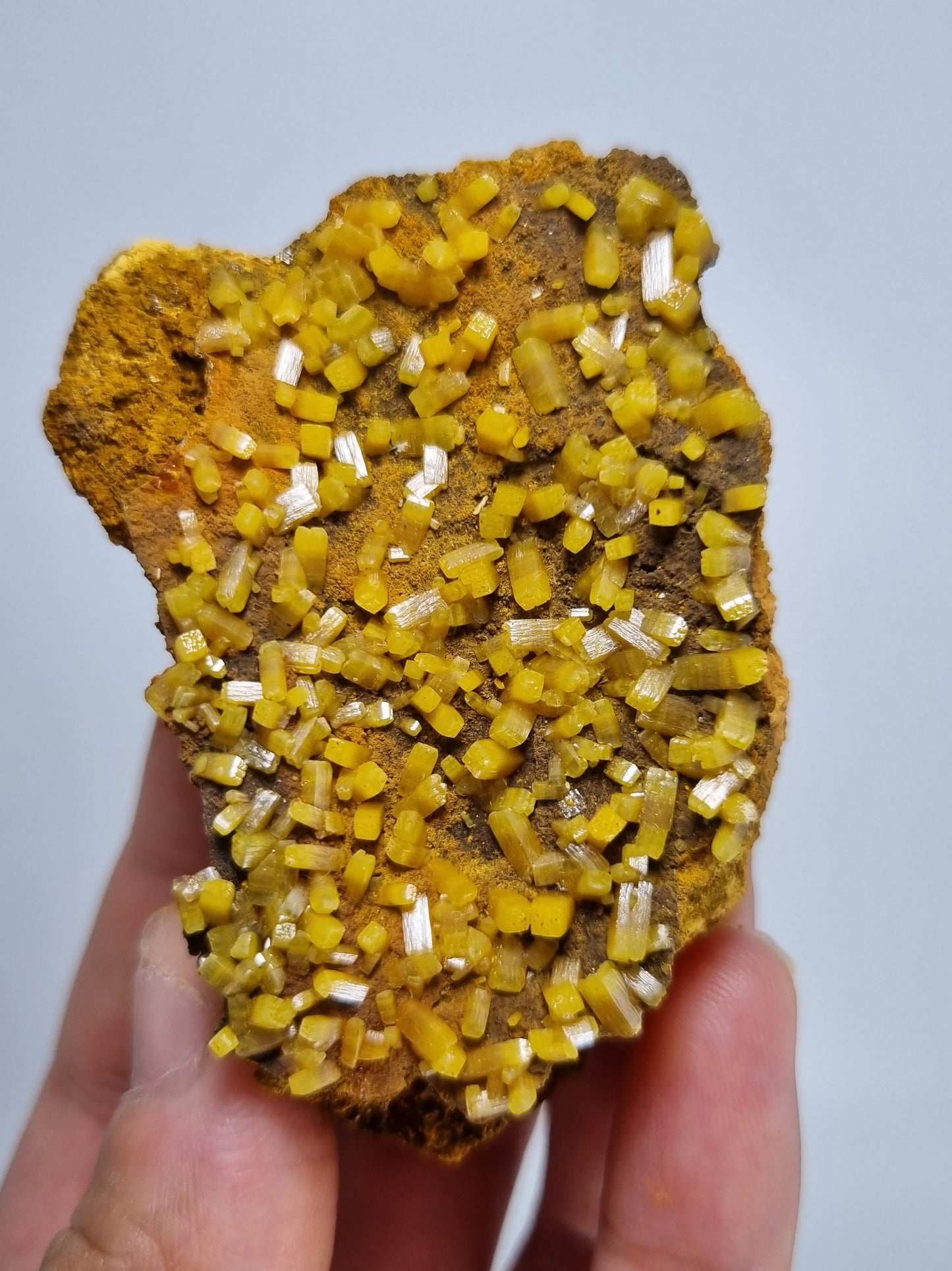 Beautiful Mimetite Crystal Specimen from Mexico
