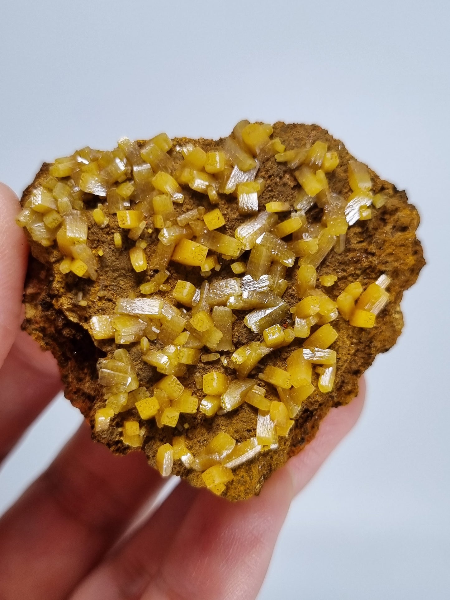 Beautiful Mimetite Crystals on Matrix from Durango Mexico